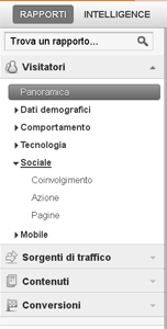 Schermata Google Analytcs sui Social